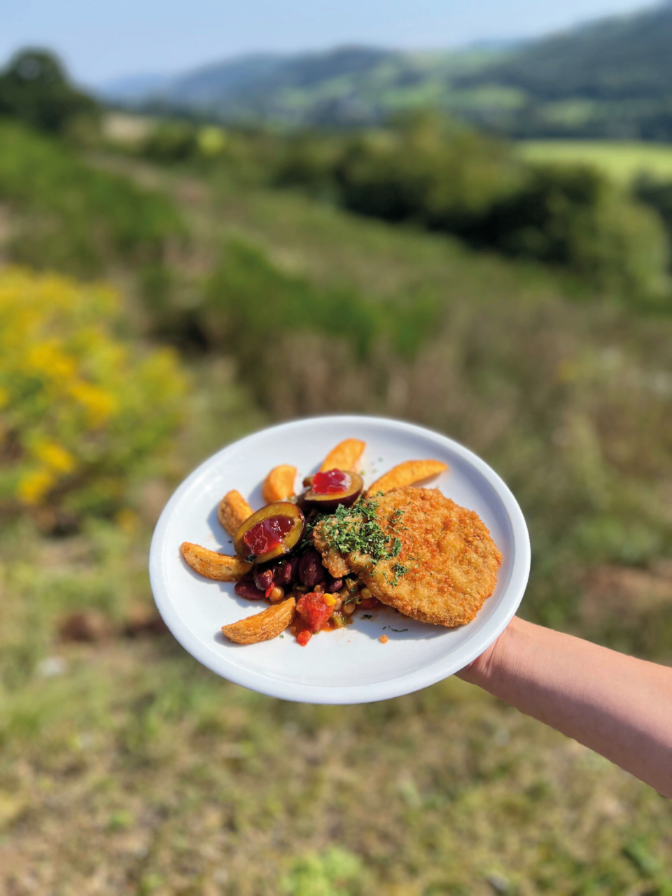 Teller mit Schnitzel und Beilagen 